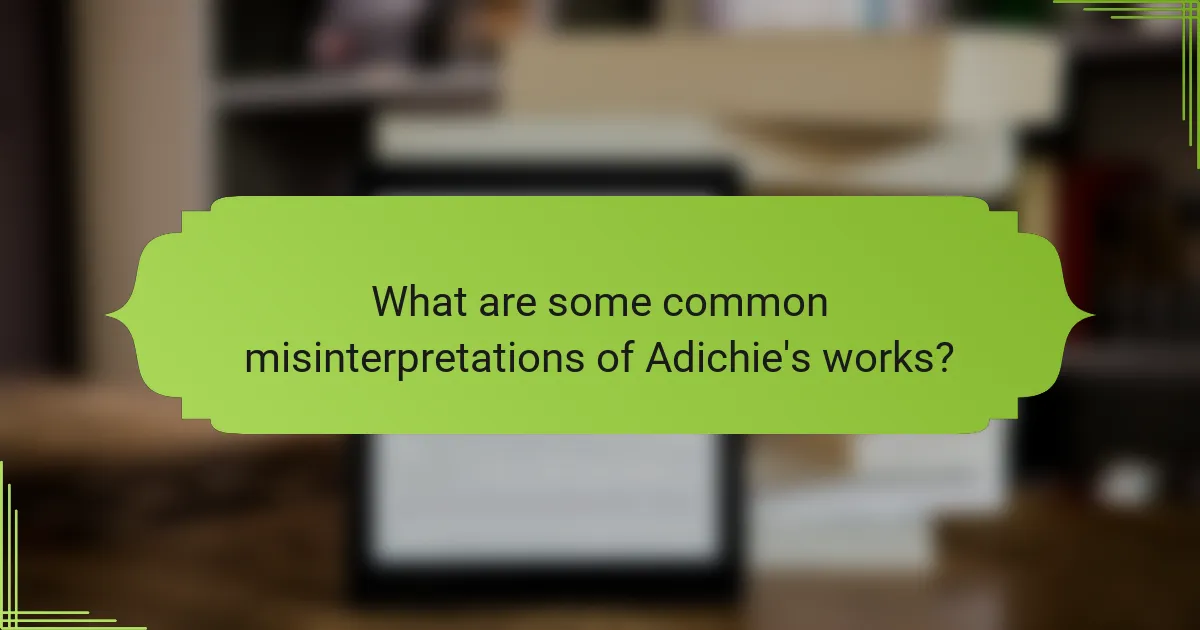 What are some common misinterpretations of Adichie's works?